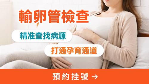 27234219.jpg 输卵管8.jpg